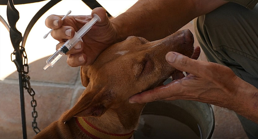 Lee más sobre el artículo Fotos en las Redes Sociales