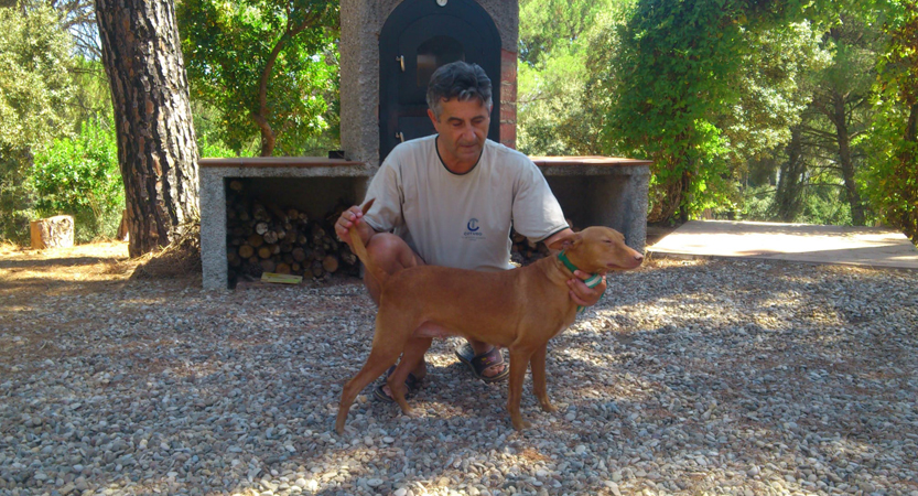 Lee más sobre el artículo El Rastro y los Podencos (III)